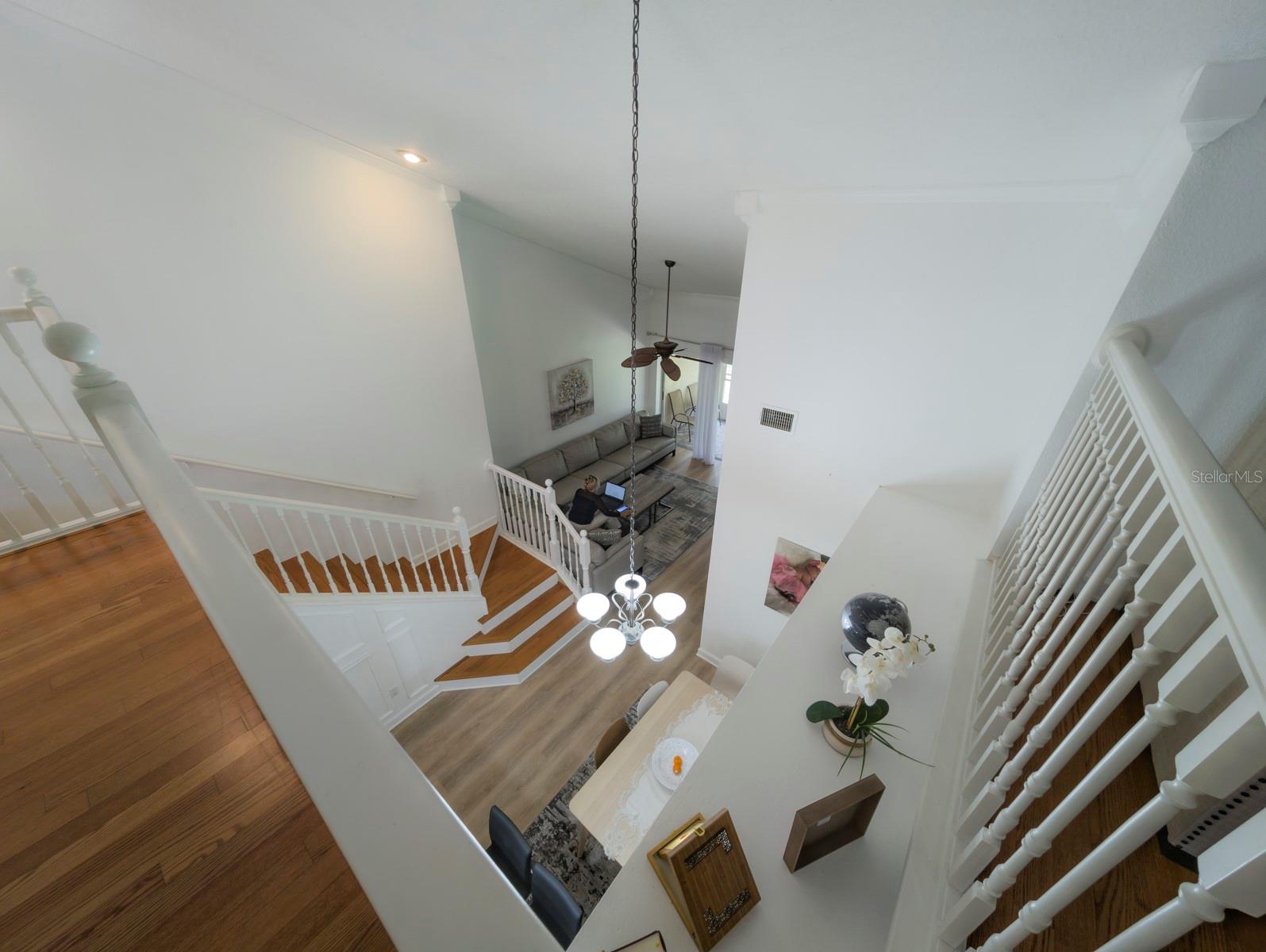 3077 BRANCH DR, CLEARWATER, FL — photo 31