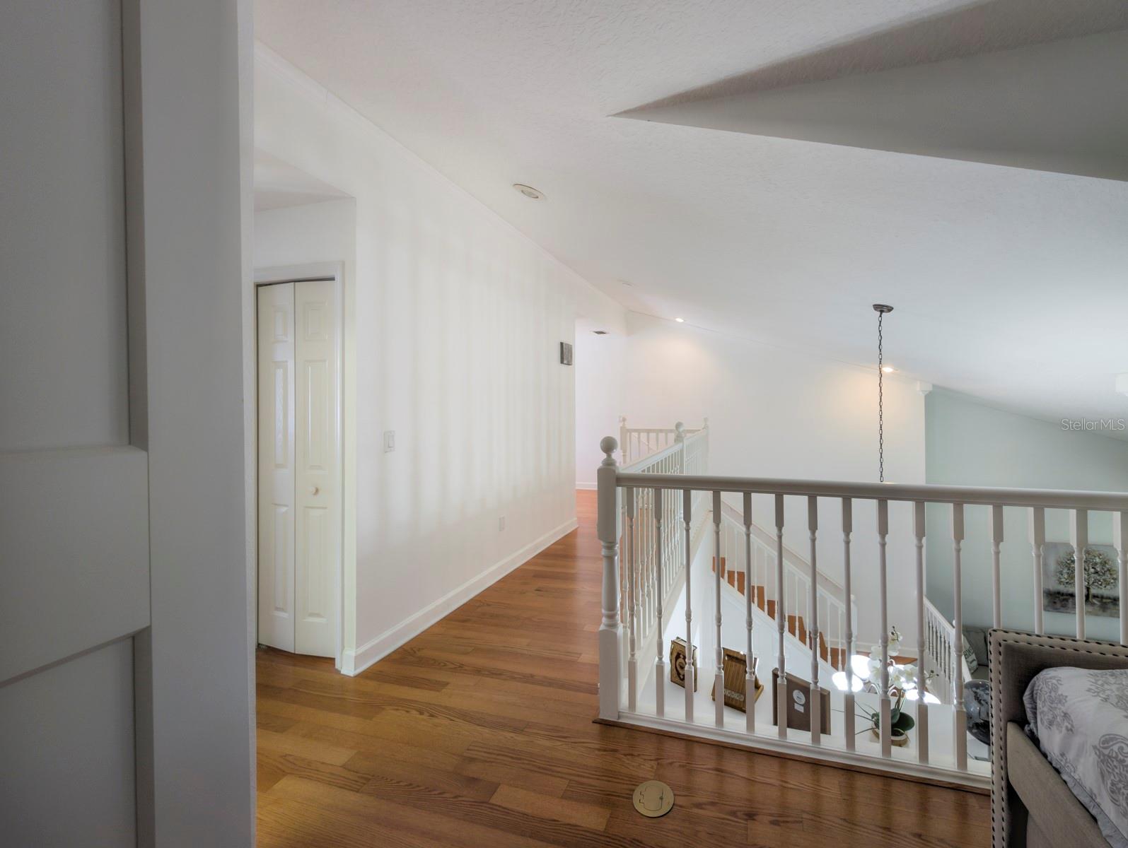 3077 BRANCH DR, CLEARWATER, FL — photo 32