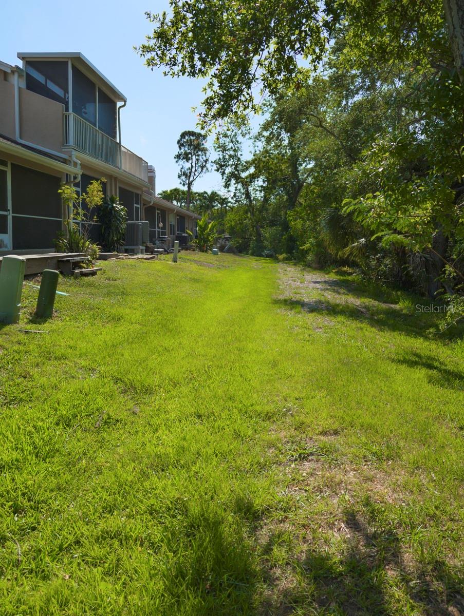 3077 BRANCH DR, CLEARWATER, FL — photo 43