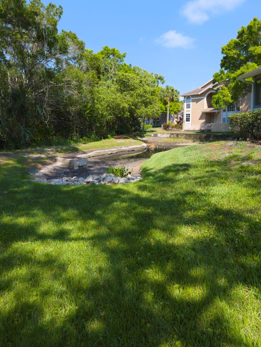 3077 BRANCH DR, CLEARWATER, FL — photo 44