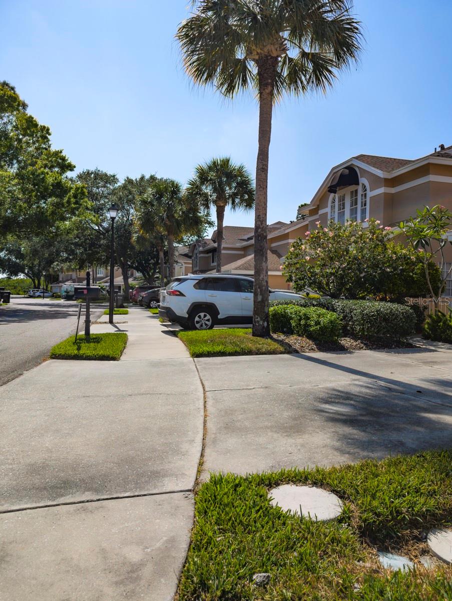 3077 BRANCH DR, CLEARWATER, FL — photo 45
