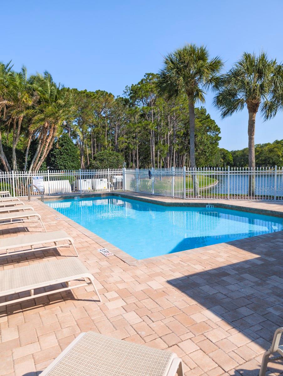 3077 BRANCH DR, CLEARWATER, FL — photo 57