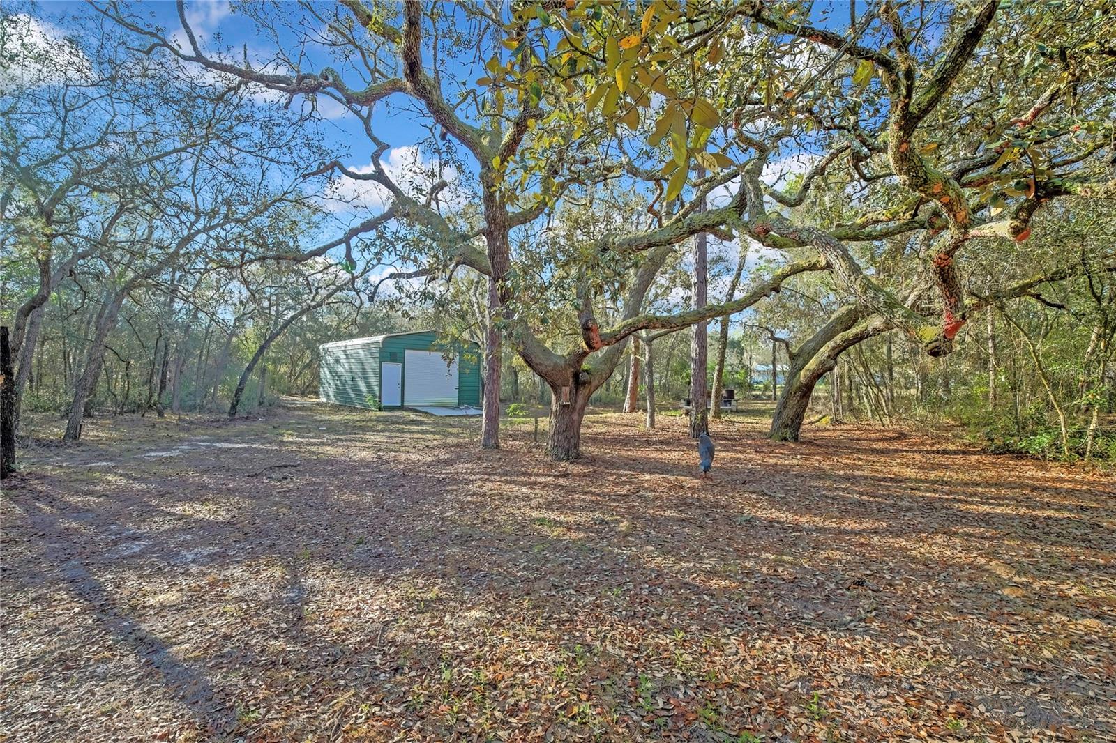 340 E SAVOY ST, LECANTO, FL — photo 57