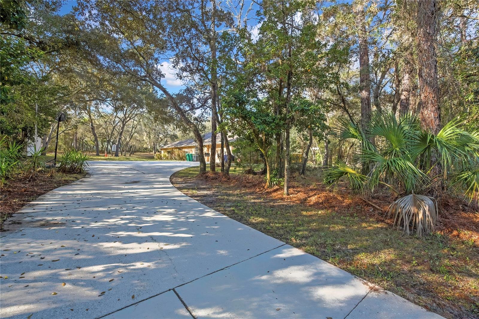 340 E SAVOY ST, LECANTO, FL — photo 63