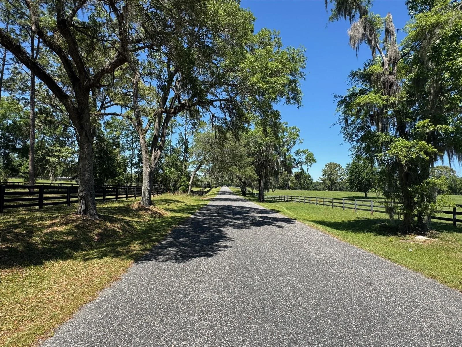 0 NW 115 AVE, OCALA, FL — photo 6