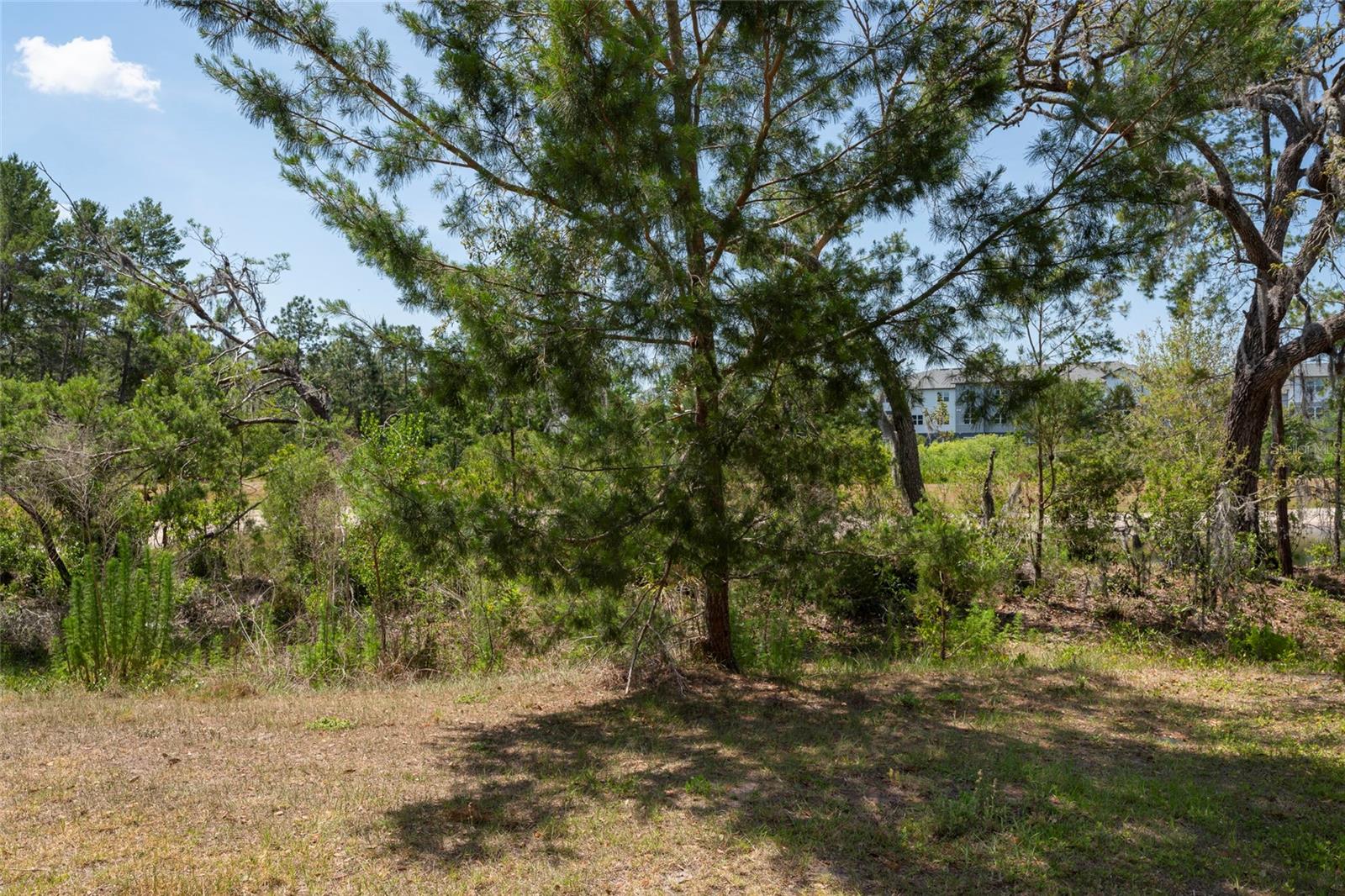 11704 CASTINE ST, NEW PORT RICHEY, FL — photo 6