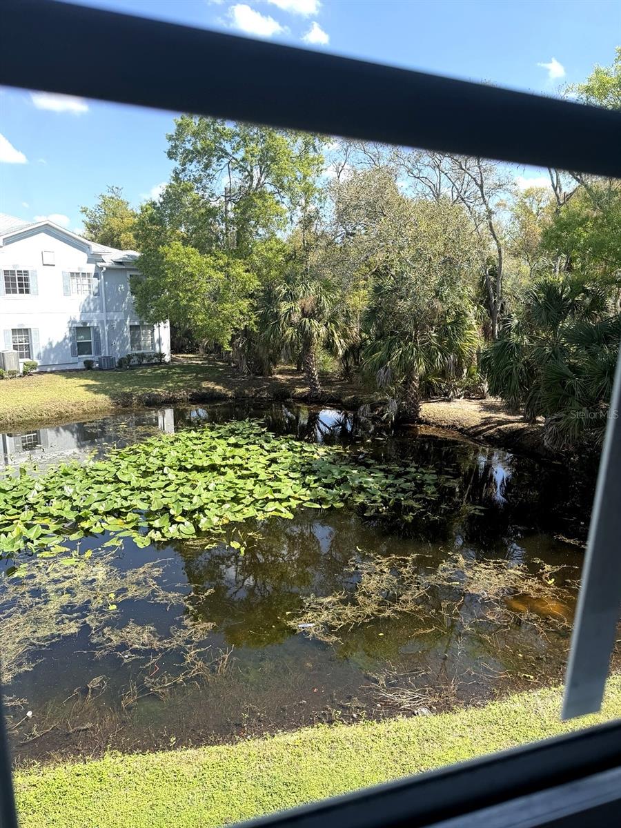 7135 WATERSIDE DR, TAMPA, FL — photo 12