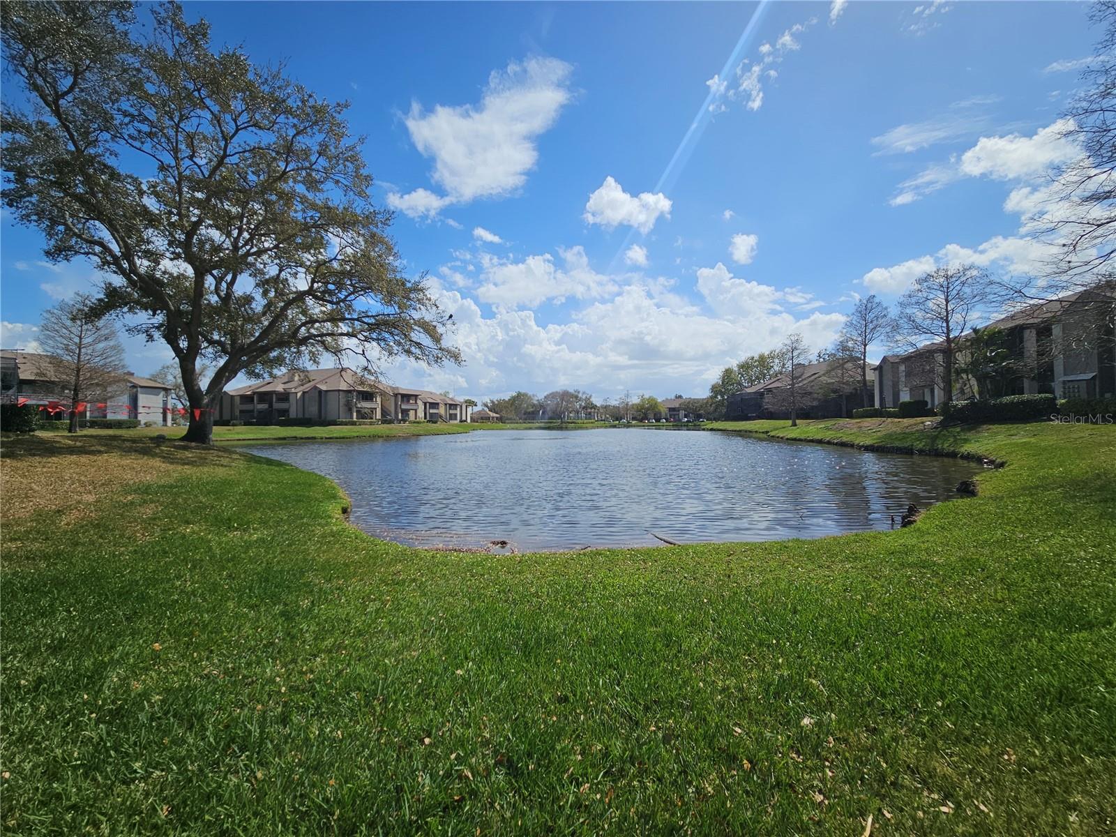 10265 GANDY BLVD N #1701, ST PETERSBURG, FL — photo 41