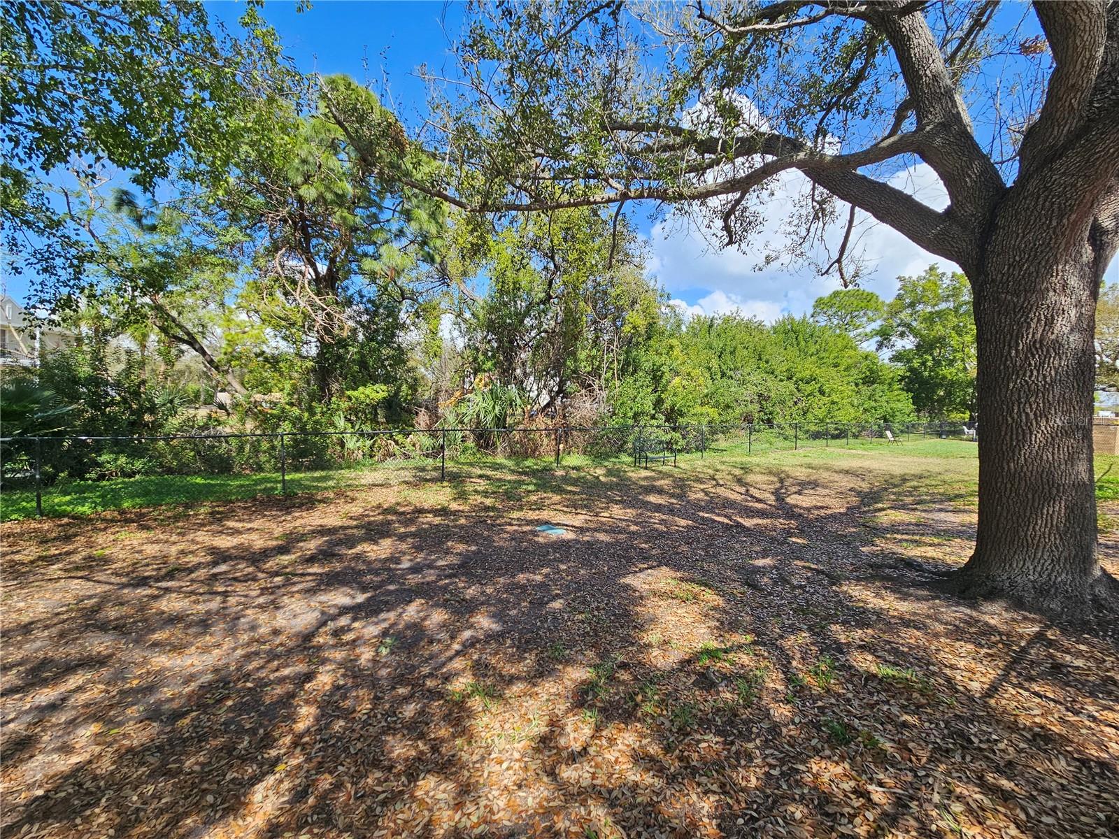 10265 GANDY BLVD N #1701, ST PETERSBURG, FL — photo 42
