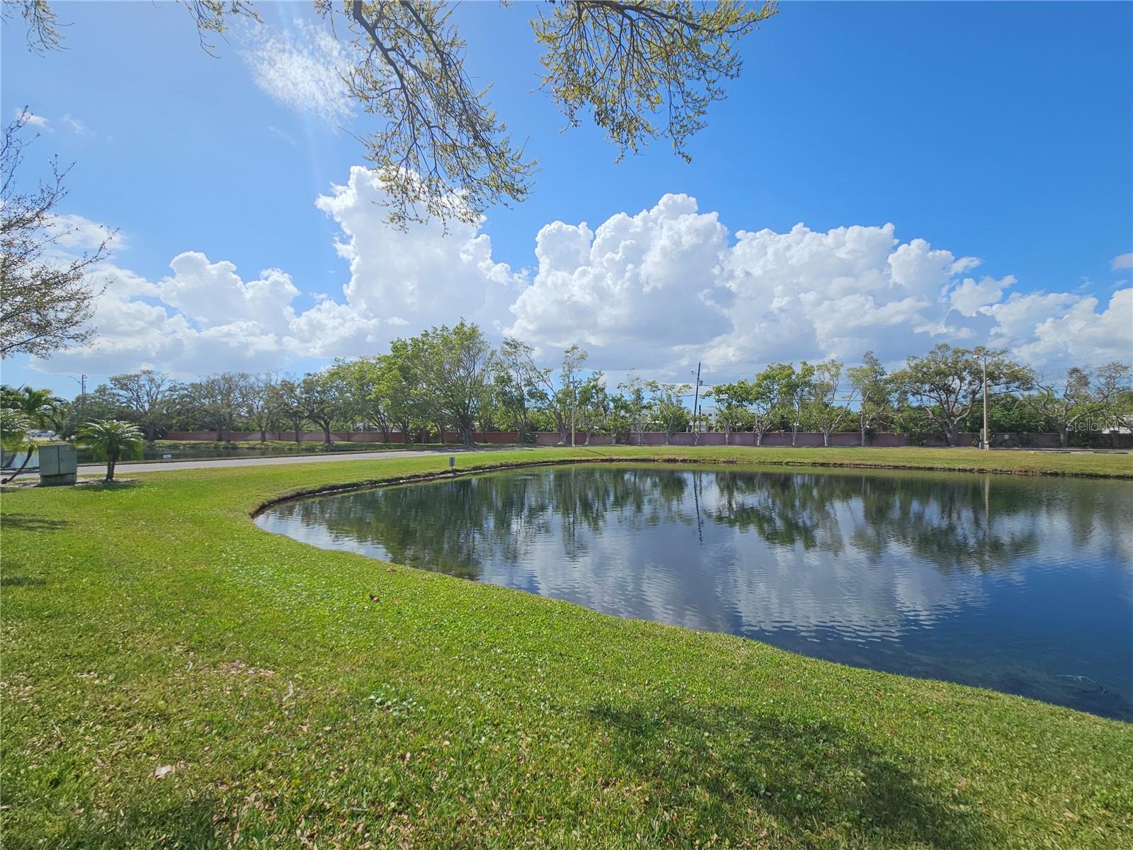 10265 GANDY BLVD N #1701, ST PETERSBURG, FL — photo 46