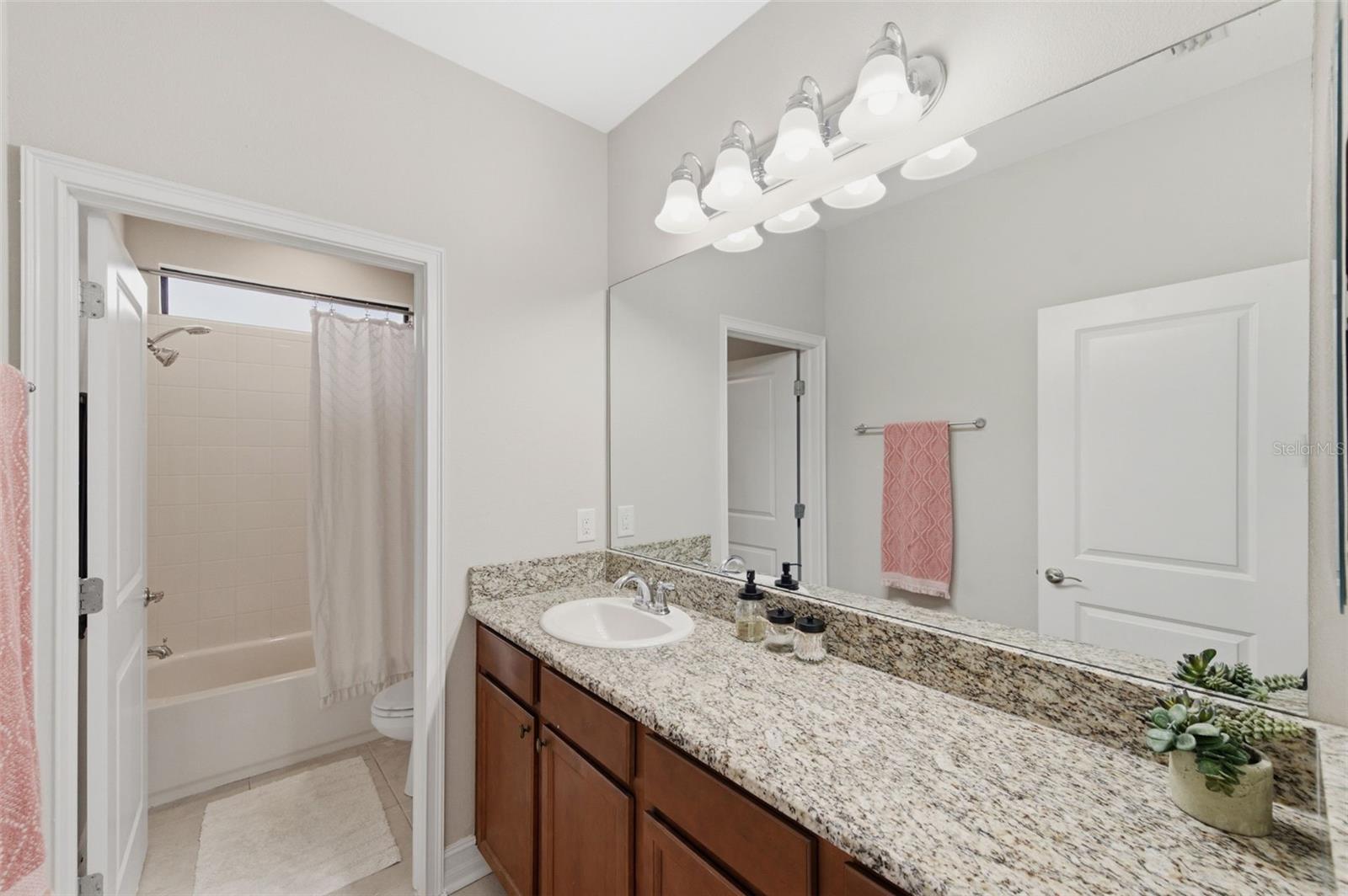29211 PERILLI PL, WESLEY CHAPEL, FL — photo 35