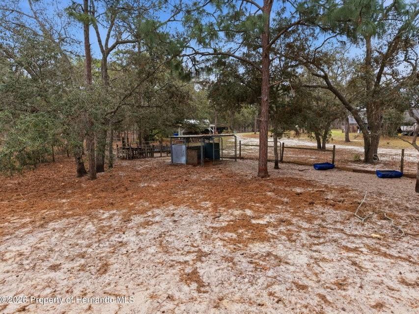 12124 SQUEEZE AVE, BROOKSVILLE, FL — photo 69
