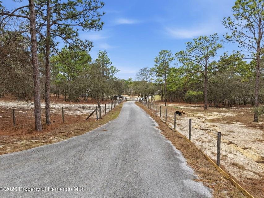 12124 SQUEEZE AVE, BROOKSVILLE, FL — photo 71