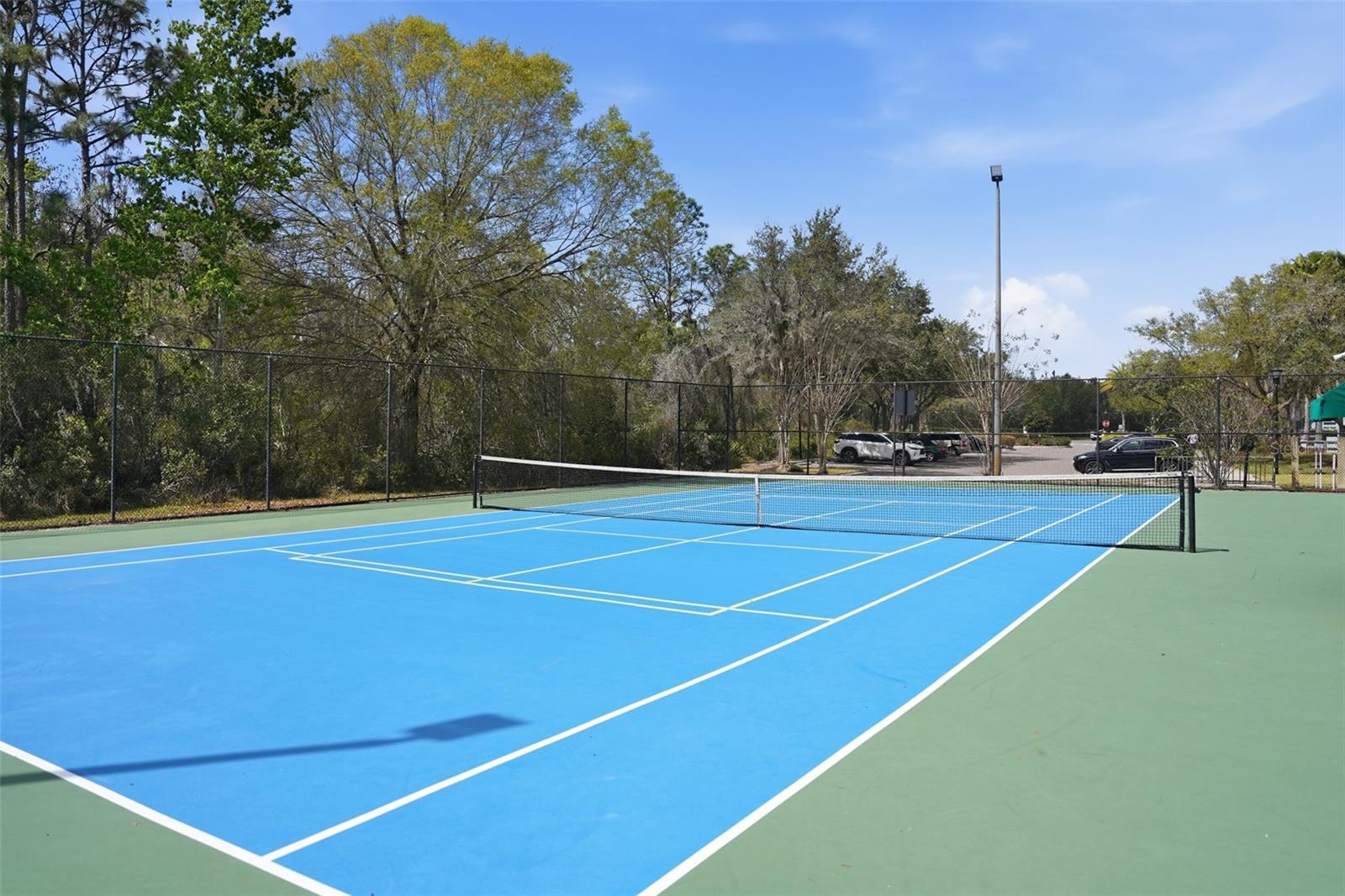 20054 NOB OAK AVE, TAMPA, FL — photo 34