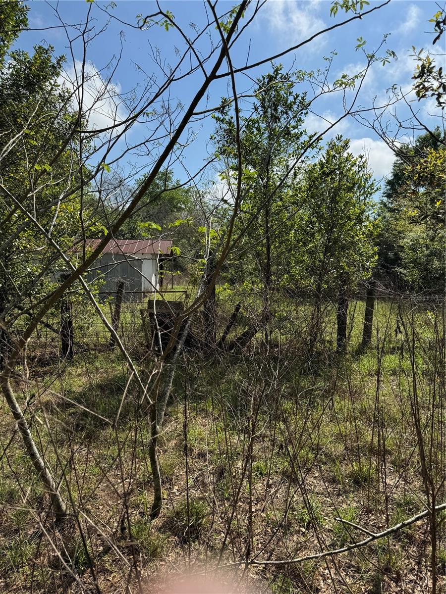 2551 SW 107TH PL, OCALA, FL — photo 4