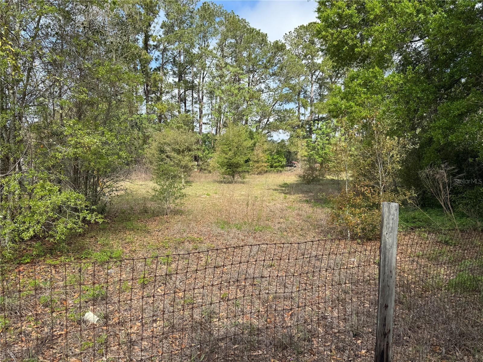 2551 SW 107TH PL, OCALA, FL — photo 5