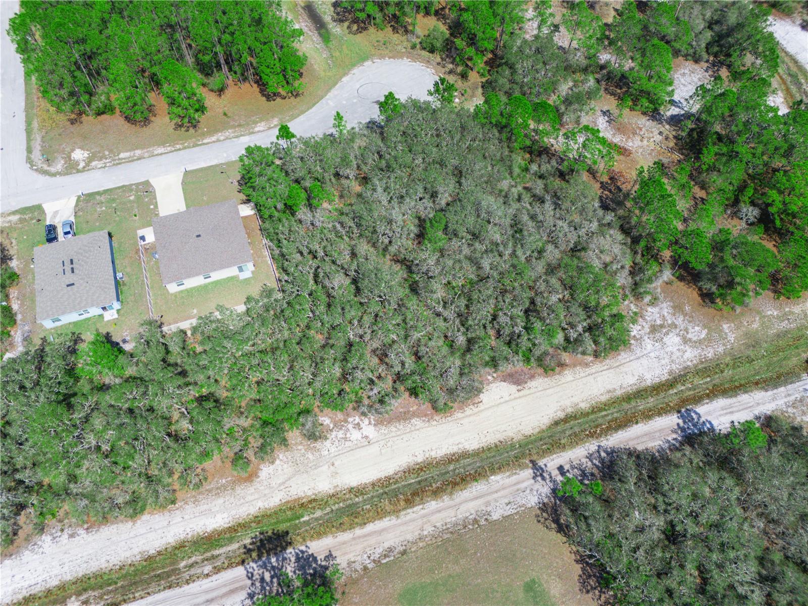 1246 WAHNETA DR, KISSIMMEE, FL — photo 3