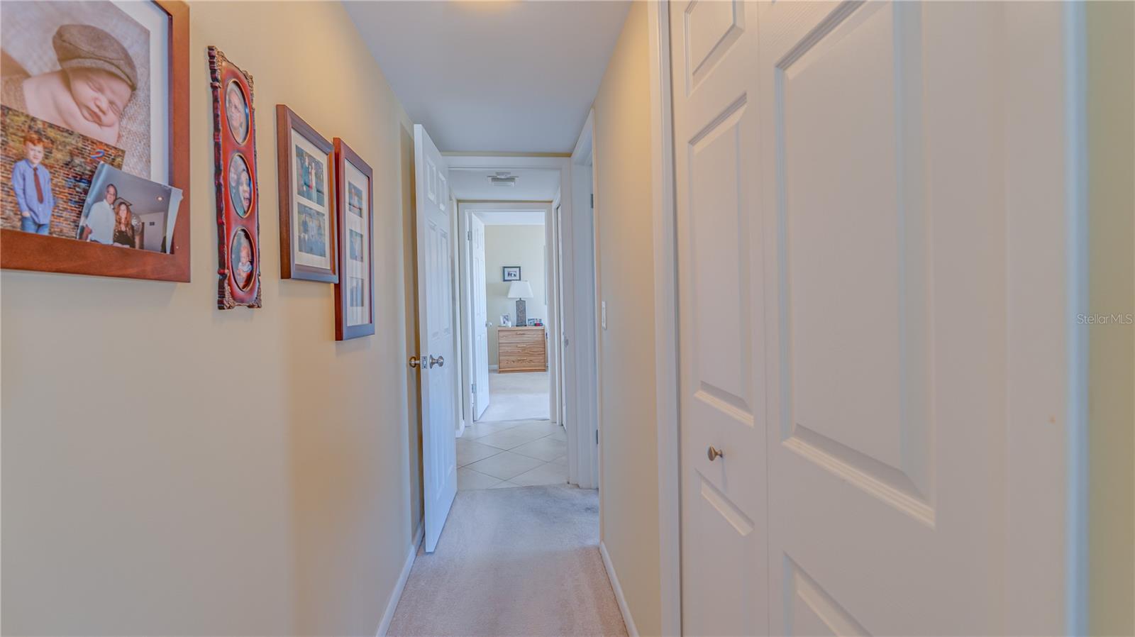 5200 BRITTANY DR S #1201, ST PETERSBURG, FL — photo 35