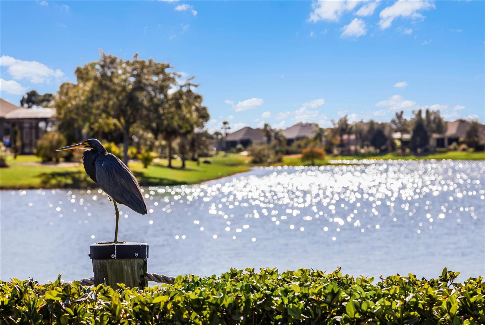 3961 KENNEBUNK LOOP, MOUNT DORA, FL — photo 95