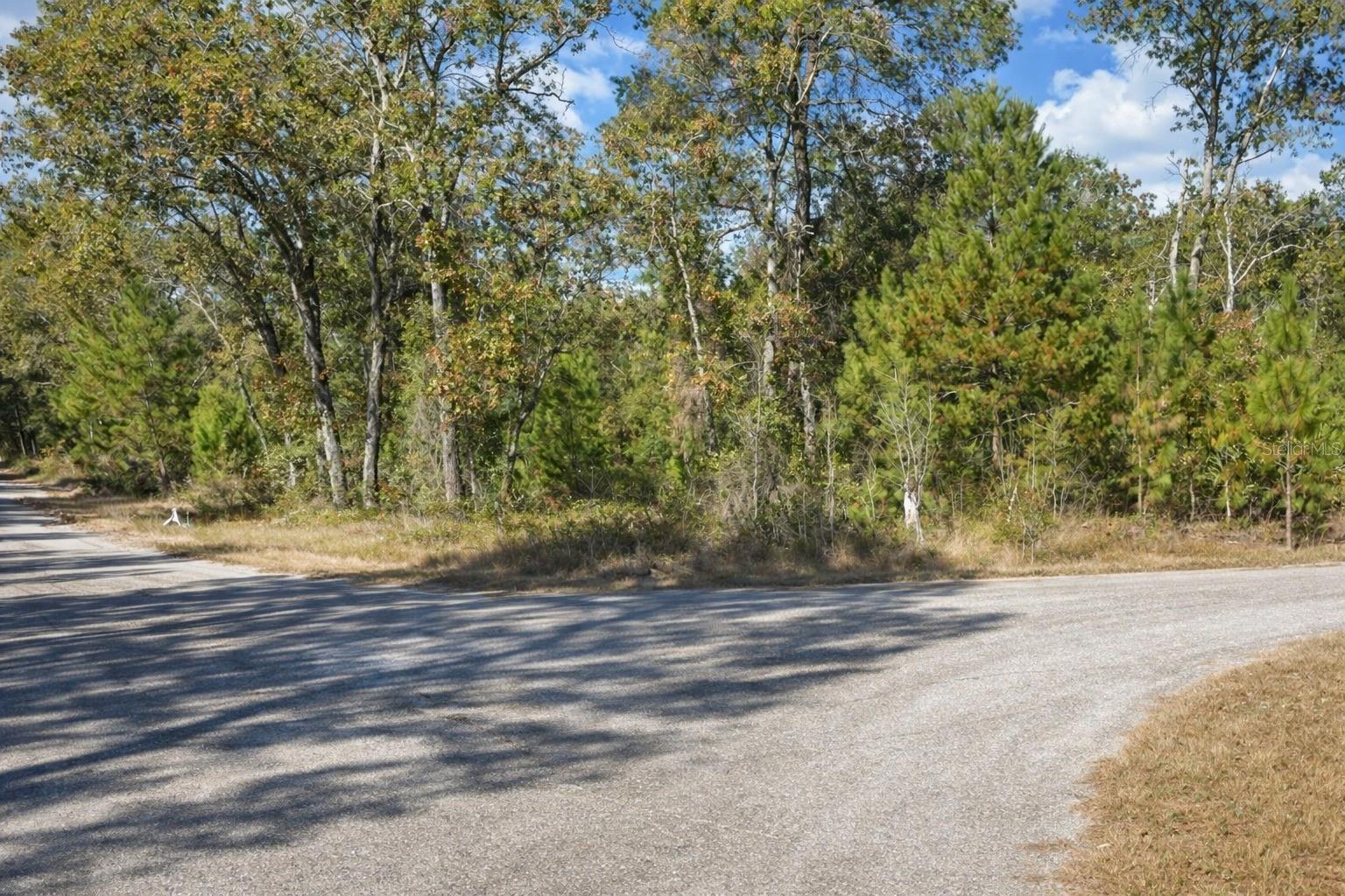 GUAVA PASS PL, OCKLAWAHA, FL — photo 2