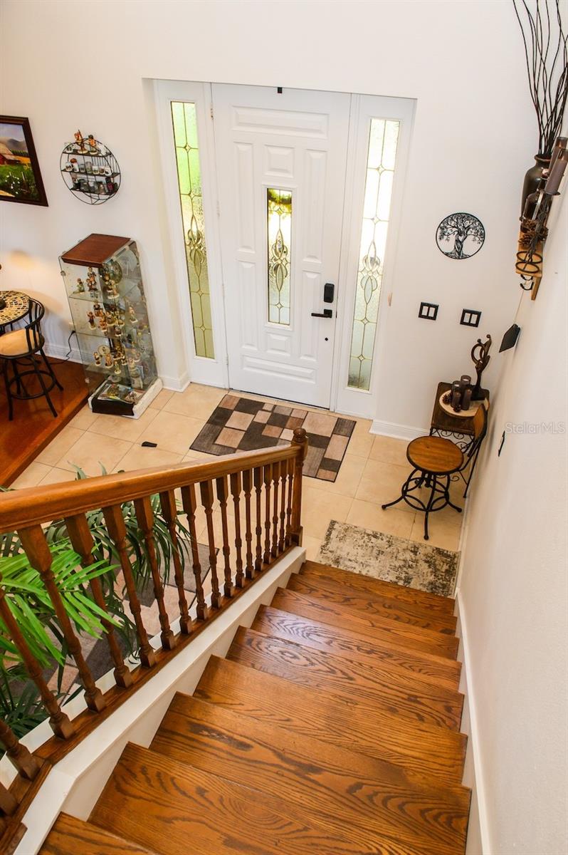 1710 NEWBERGER RD, LUTZ, FL — photo 50