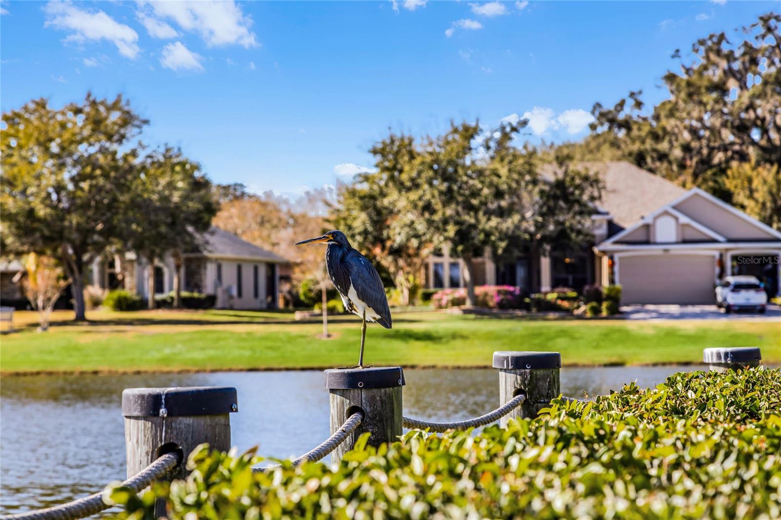 3942 KENNEBUNK LOOP, MOUNT DORA, FL — photo 95