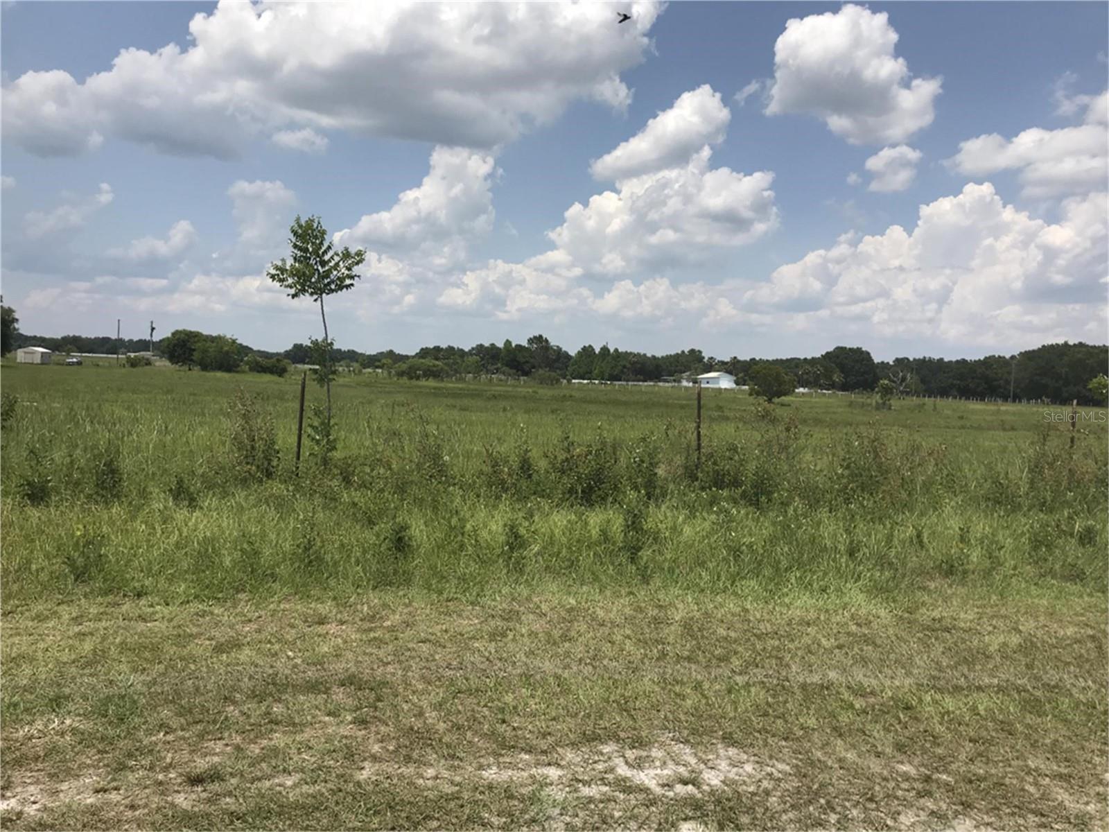 000000- CR 614A, BUSHNELL, FL — photo 3