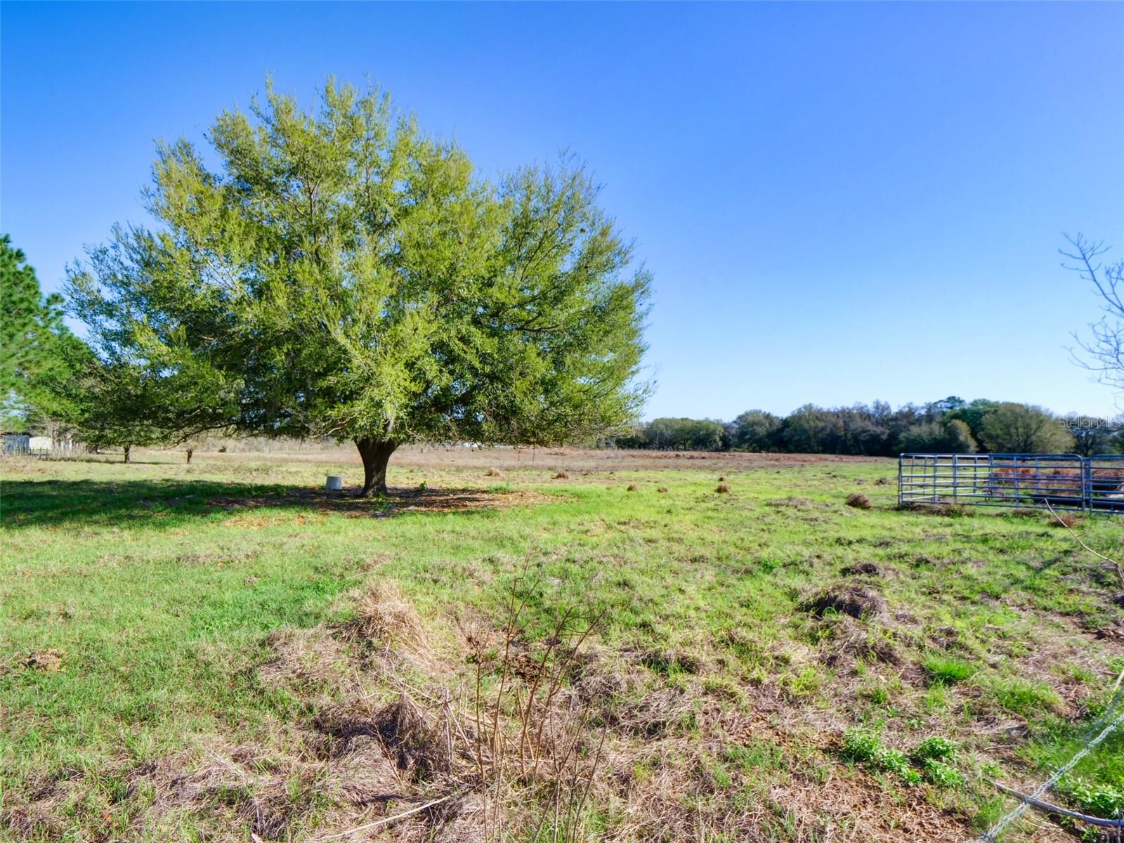 000000- CR 614A, BUSHNELL, FL