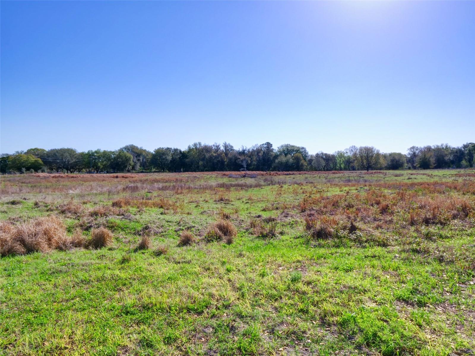 000000- CR 614A, BUSHNELL, FL — photo 15