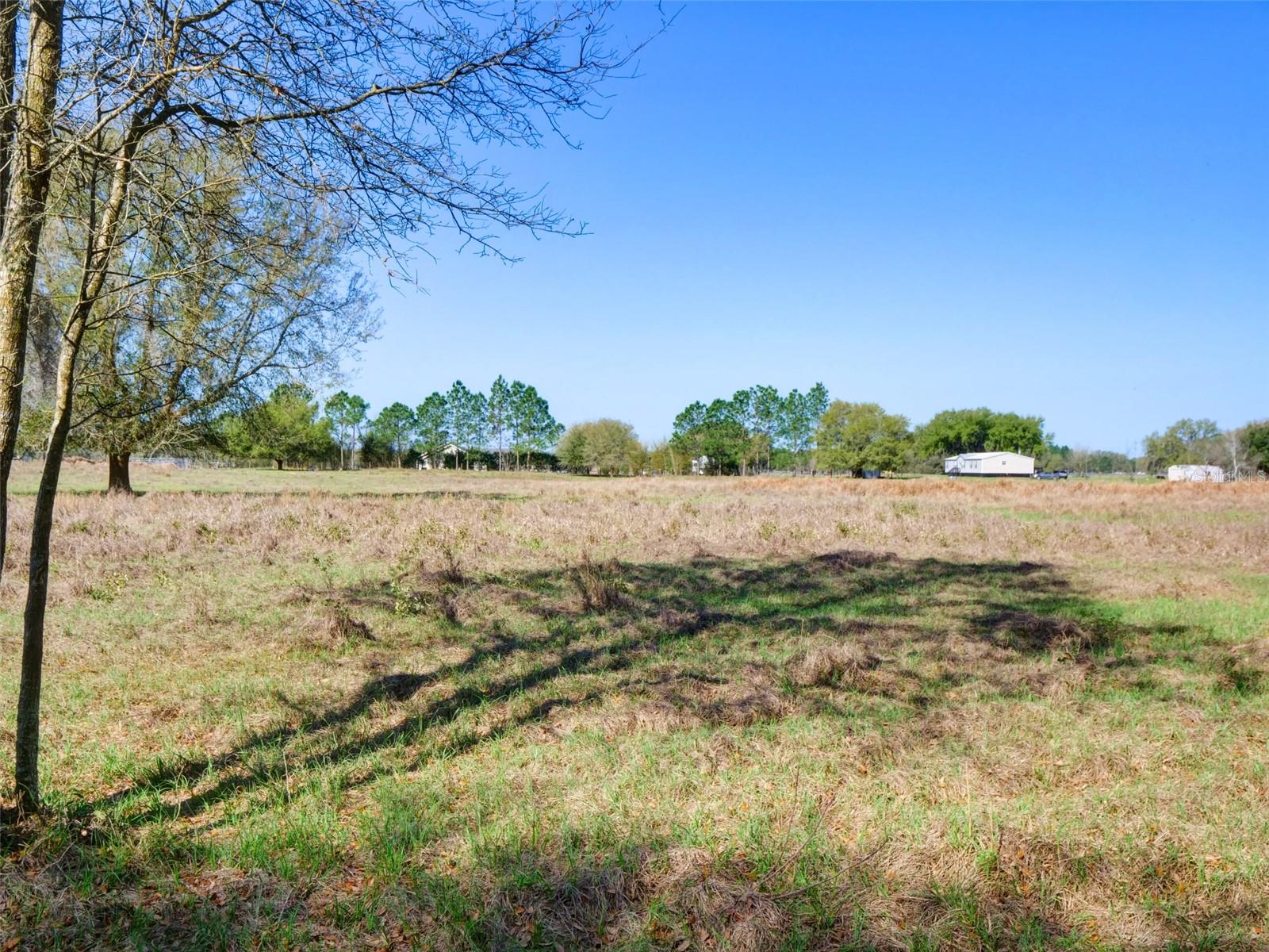 000000- CR 614A, BUSHNELL, FL — photo 16