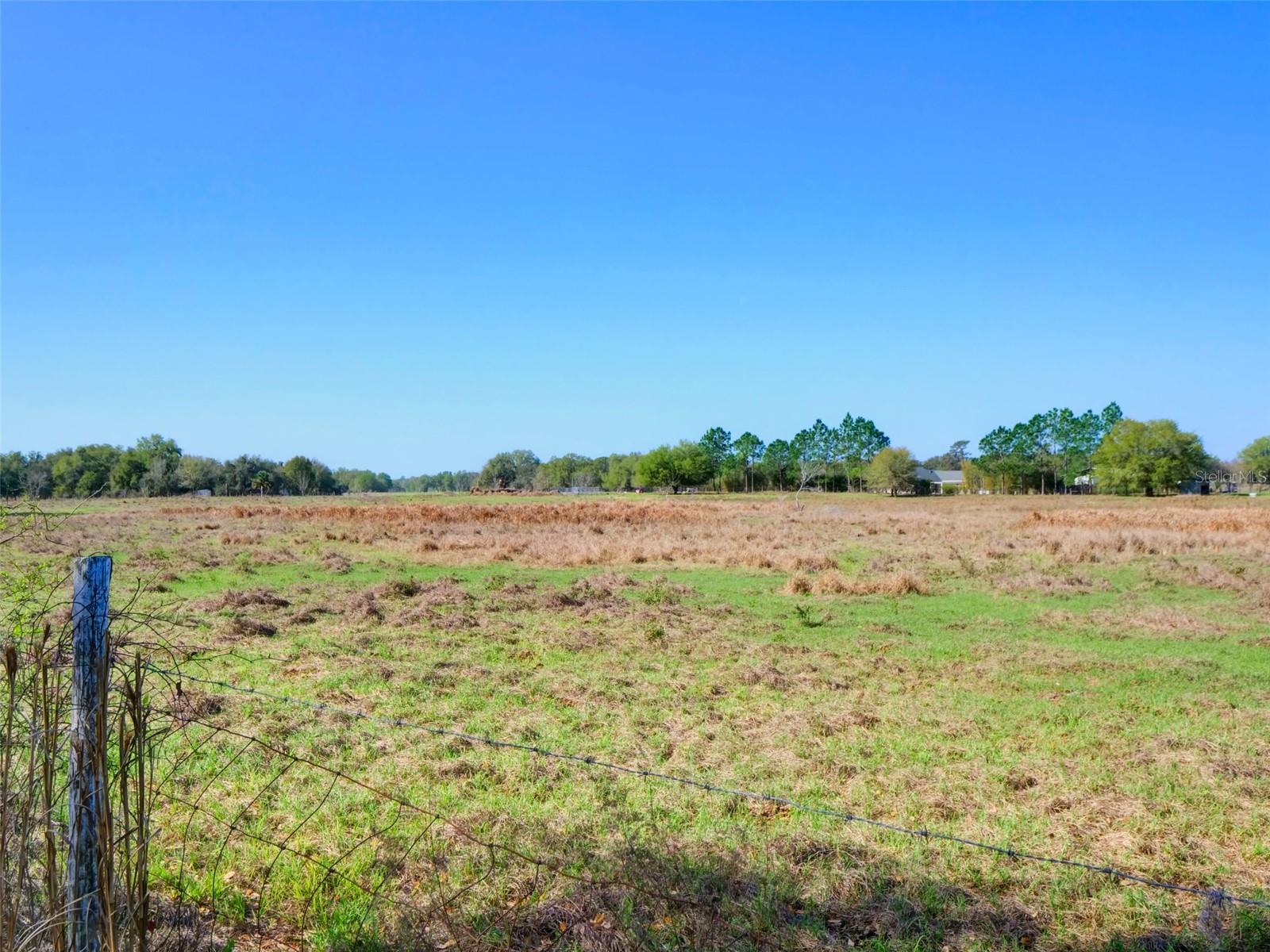 000000- CR 614A, BUSHNELL, FL — photo 19