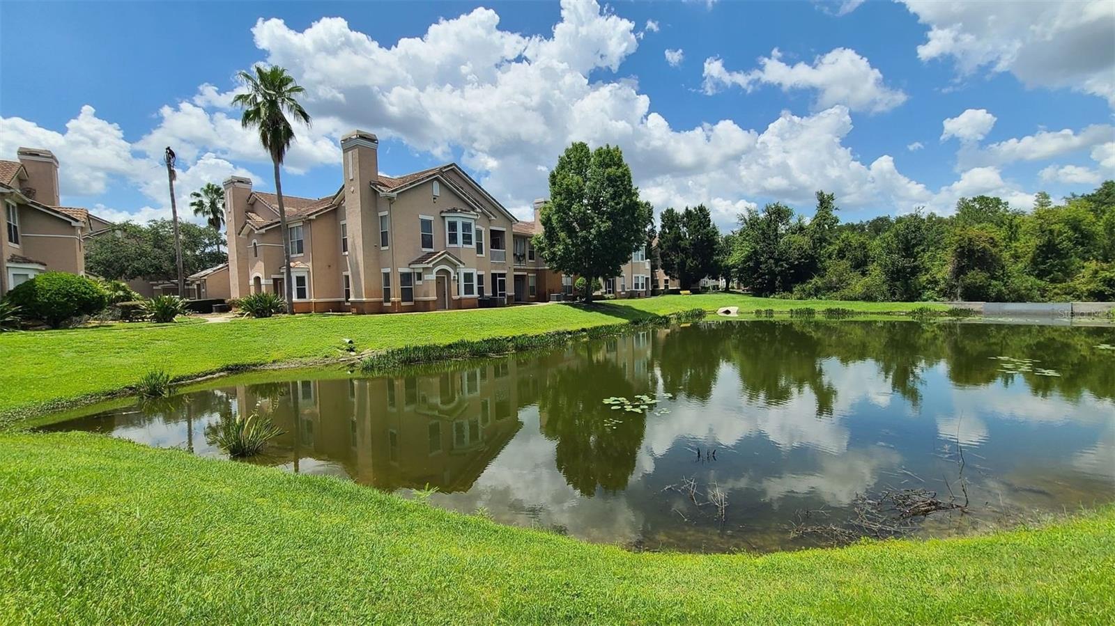18022 VILLA CREEK DR #18022, TAMPA, FL — photo 26