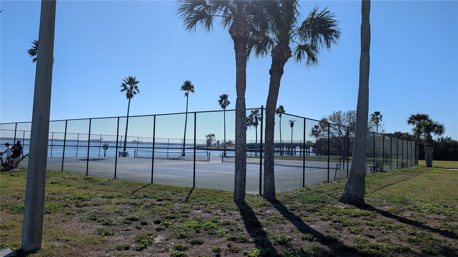 7 DUNOON PL #Unit 104, DUNEDIN, FL — photo 42