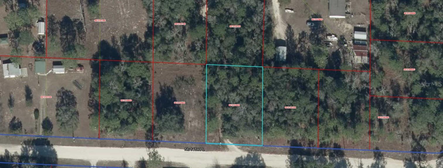 NE 54 PL, WILLISTON, FL — photo 3
