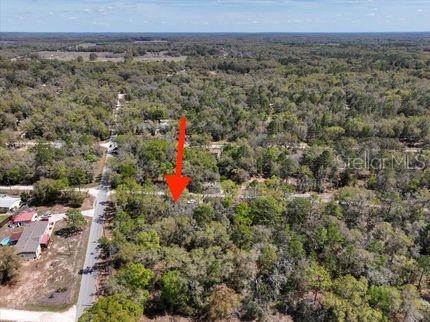 NE 54 PL, WILLISTON, FL — photo 2