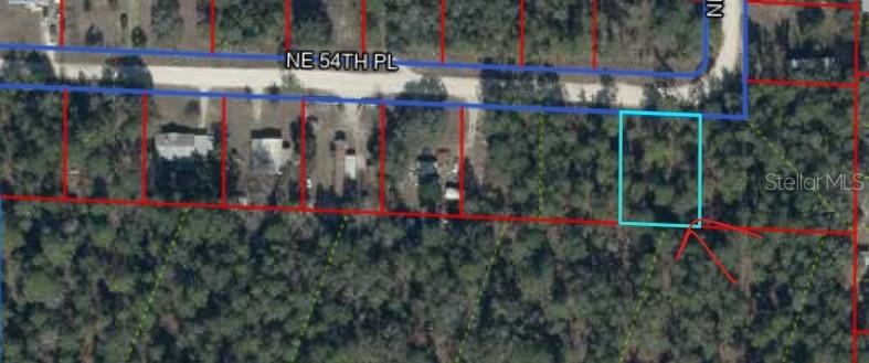 NE 54 PL, WILLISTON, FL