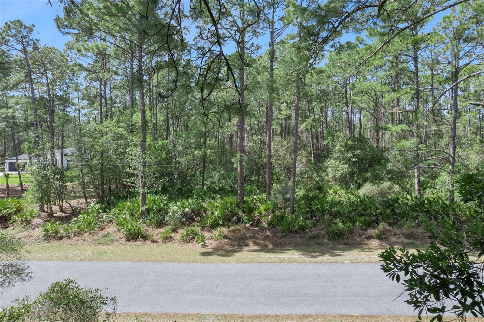 CASHEW ST, EUSTIS, FL — photo 8