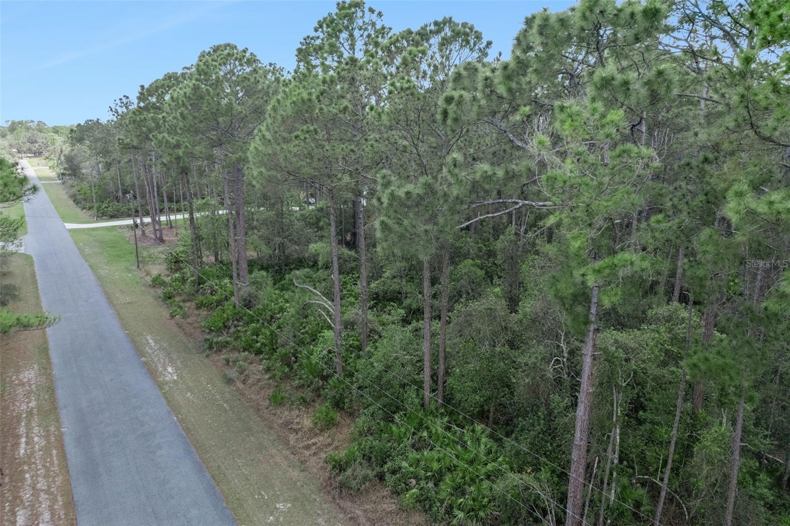 CASHEW ST, EUSTIS, FL — photo 12