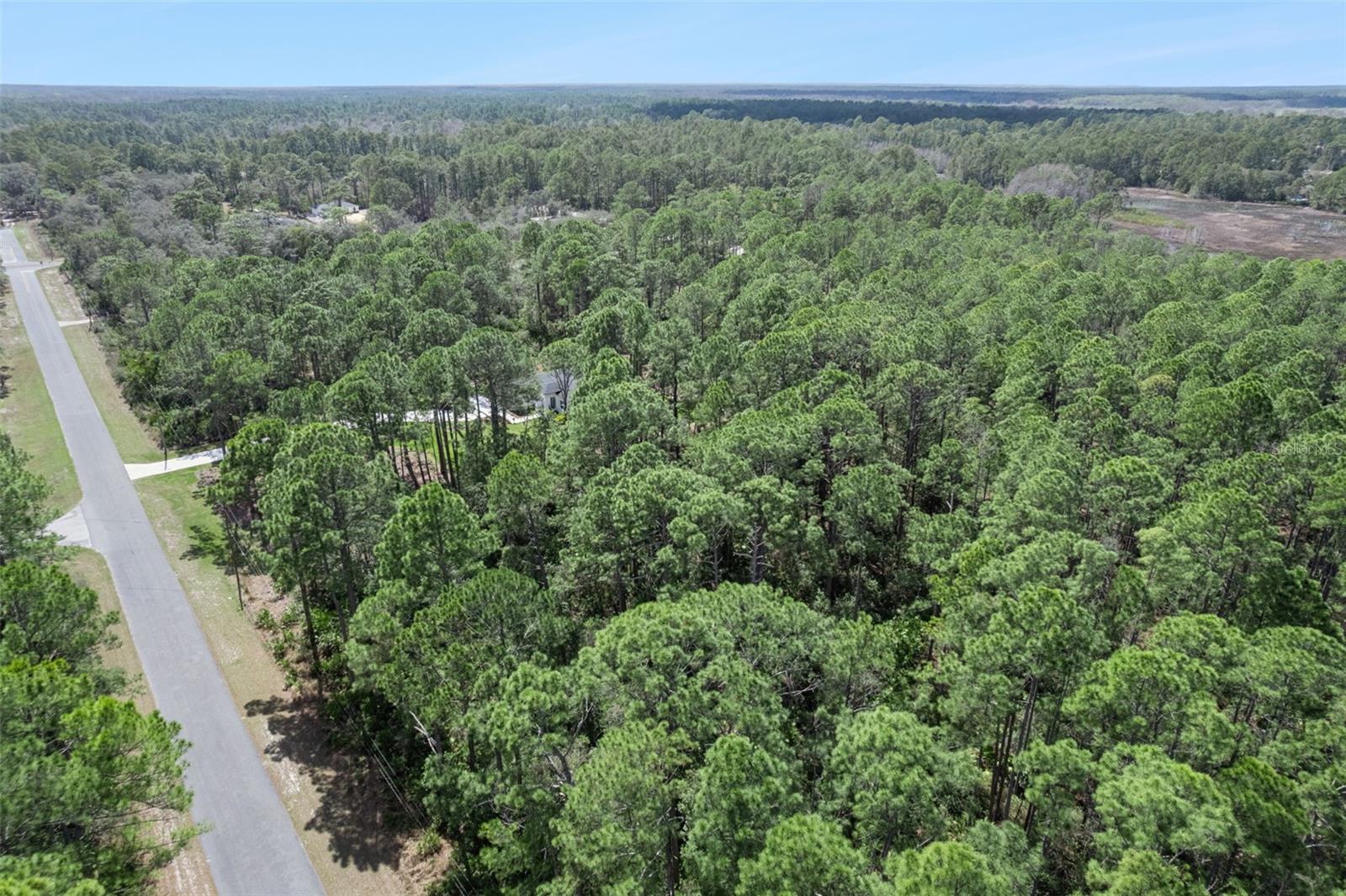 CASHEW ST, EUSTIS, FL — photo 20