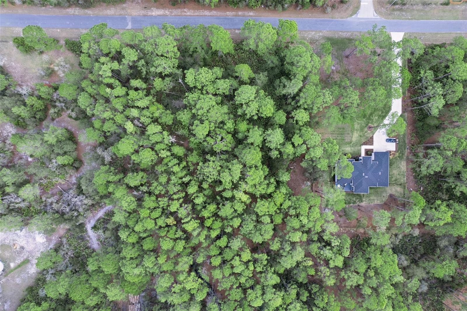 CASHEW ST, EUSTIS, FL — photo 37