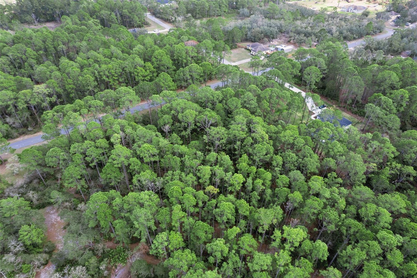 CASHEW ST, EUSTIS, FL — photo 46
