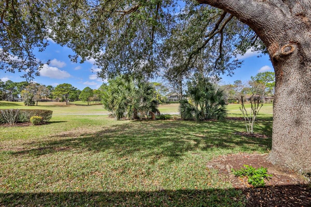 5459 LEGEND HILLS LN, SPRING HILL, FL — photo 56