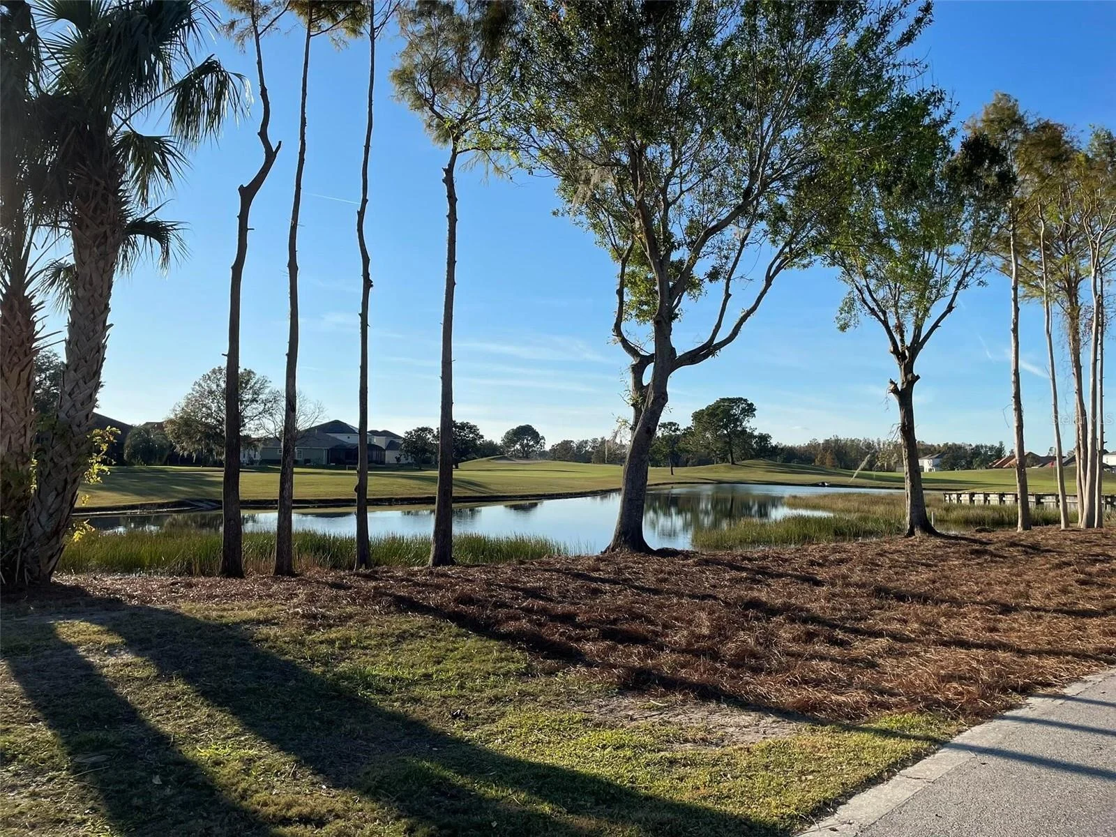 17708 SAWGRASS RUN, DEER ISLAND, FL — photo 125