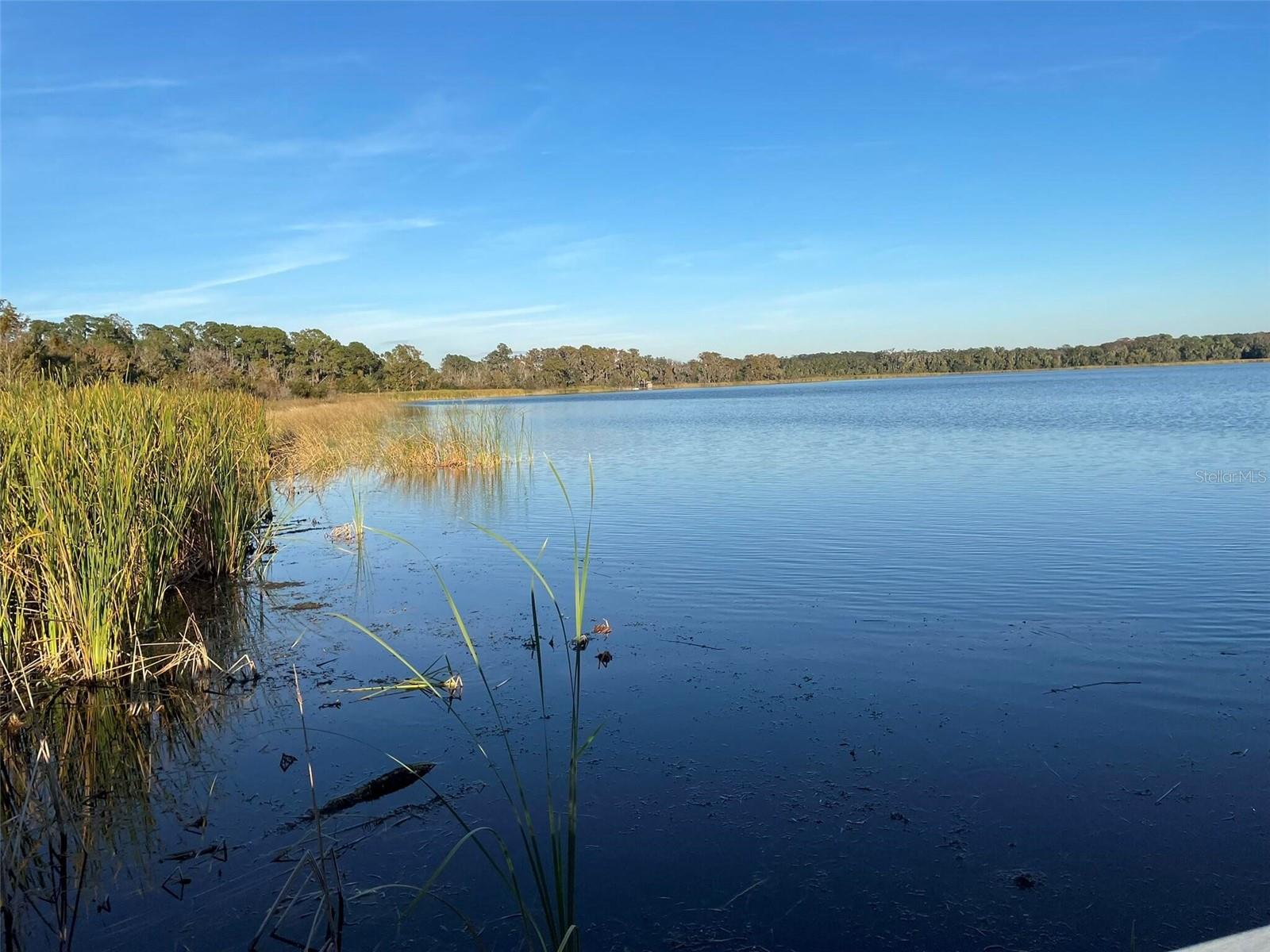17708 SAWGRASS RUN, DEER ISLAND, FL — photo 133