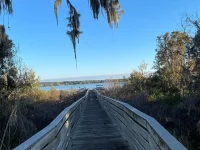 17708 SAWGRASS RUN — photo 153