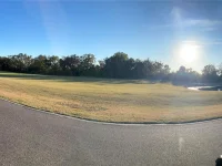 17708 SAWGRASS RUN — photo 159