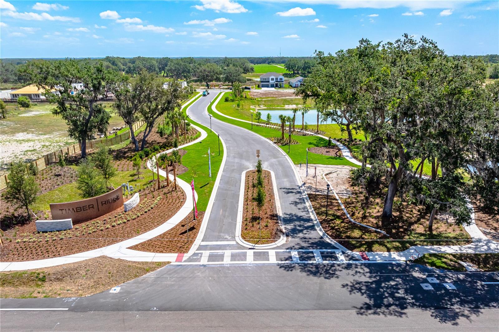 3116 LUMBER FALLS DR, PLANT CITY, FL — photo 19