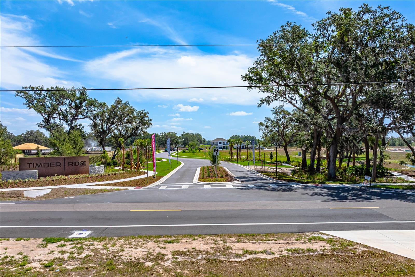 3116 LUMBER FALLS DR, PLANT CITY, FL — photo 20