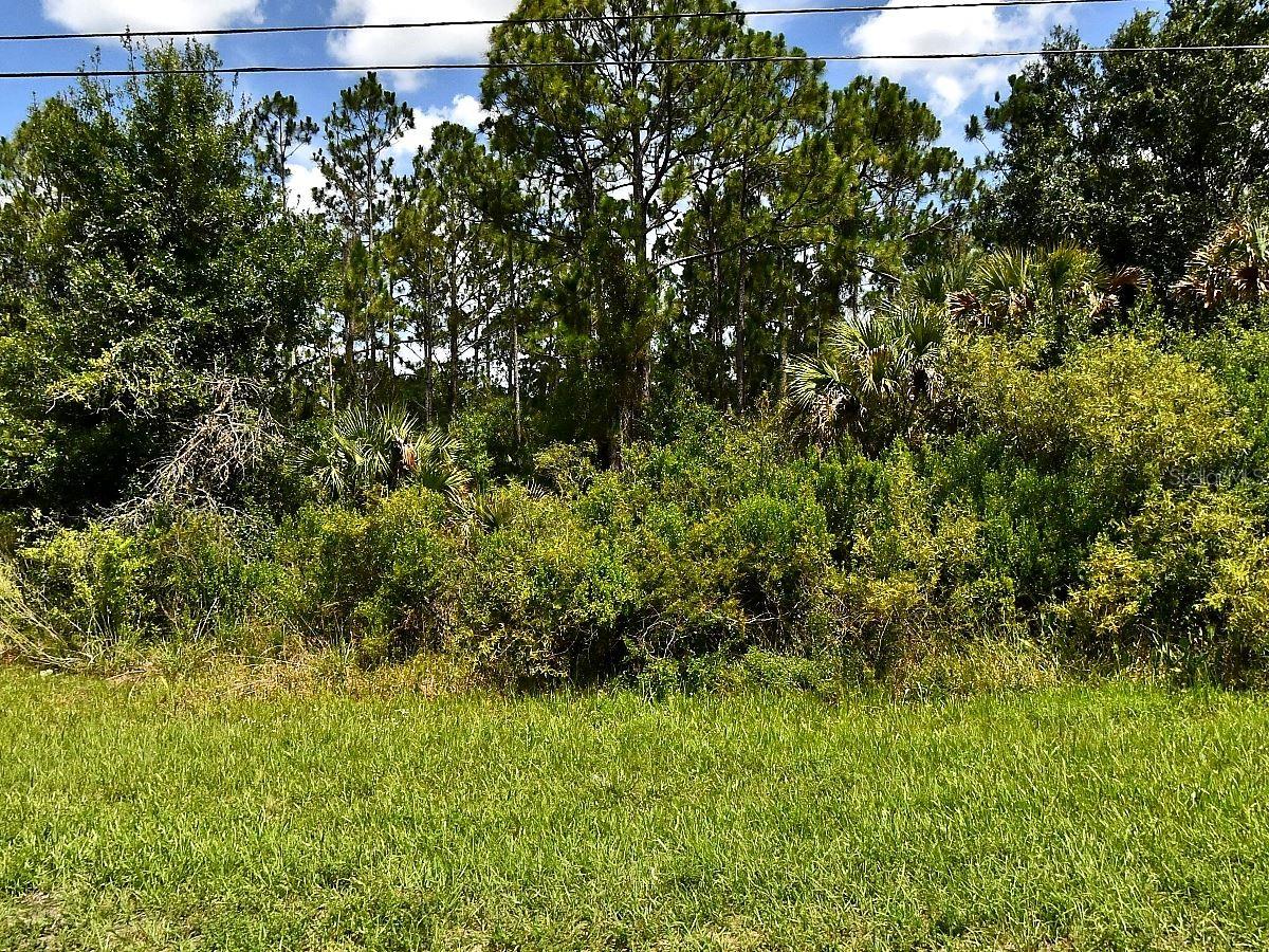 TROPICAIRE BLVD, NORTH PORT, FL