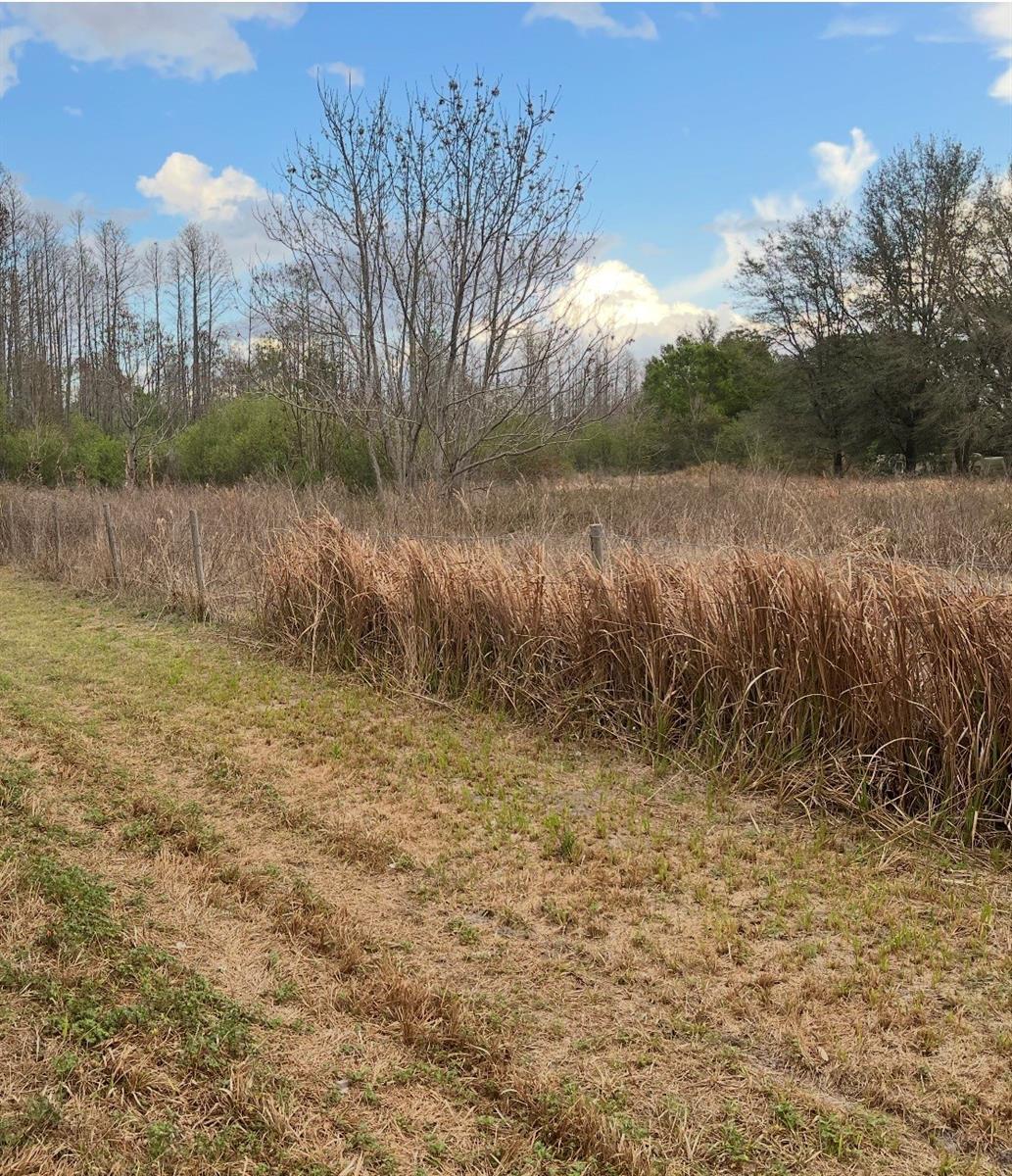SR-33, CLERMONT, FL — photo 19